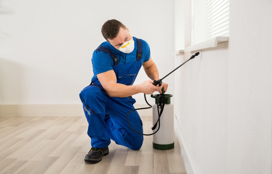 5 BENEFITS OF PEST CONTROL COMPANY