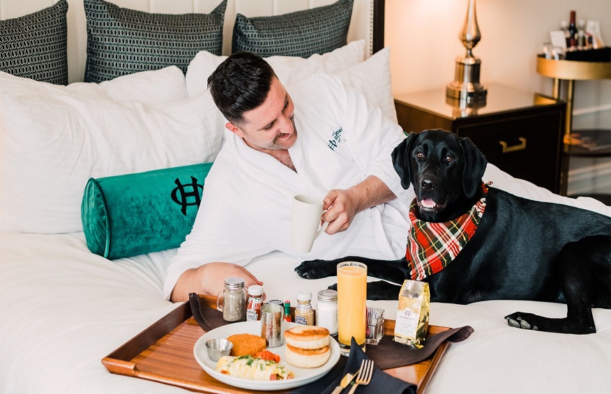 Pet-Friendly Hotels